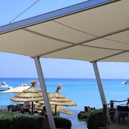 Appartement Ezzouhour Dar Sammoud Kelibia Exteriör bild