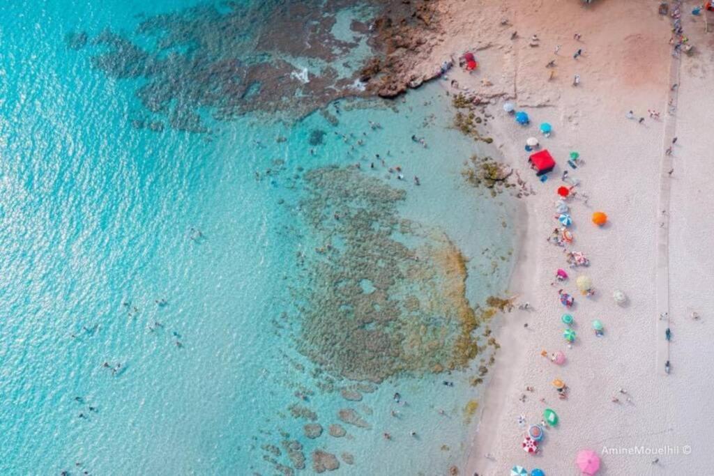 Appartement Ezzouhour Dar Sammoud Kelibia Exteriör bild