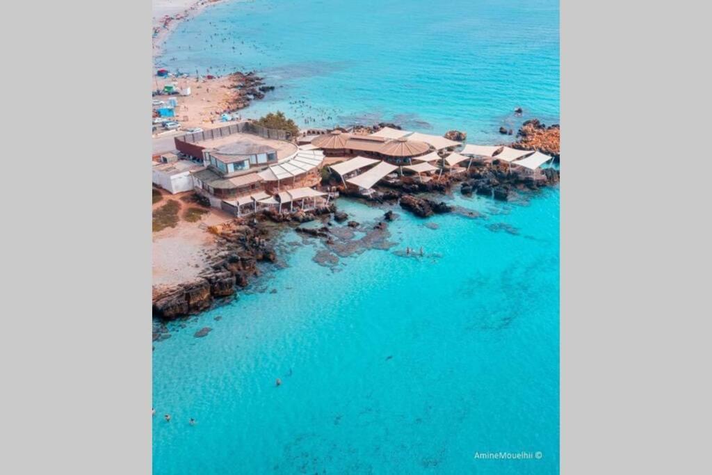 Appartement Ezzouhour Dar Sammoud Kelibia Exteriör bild