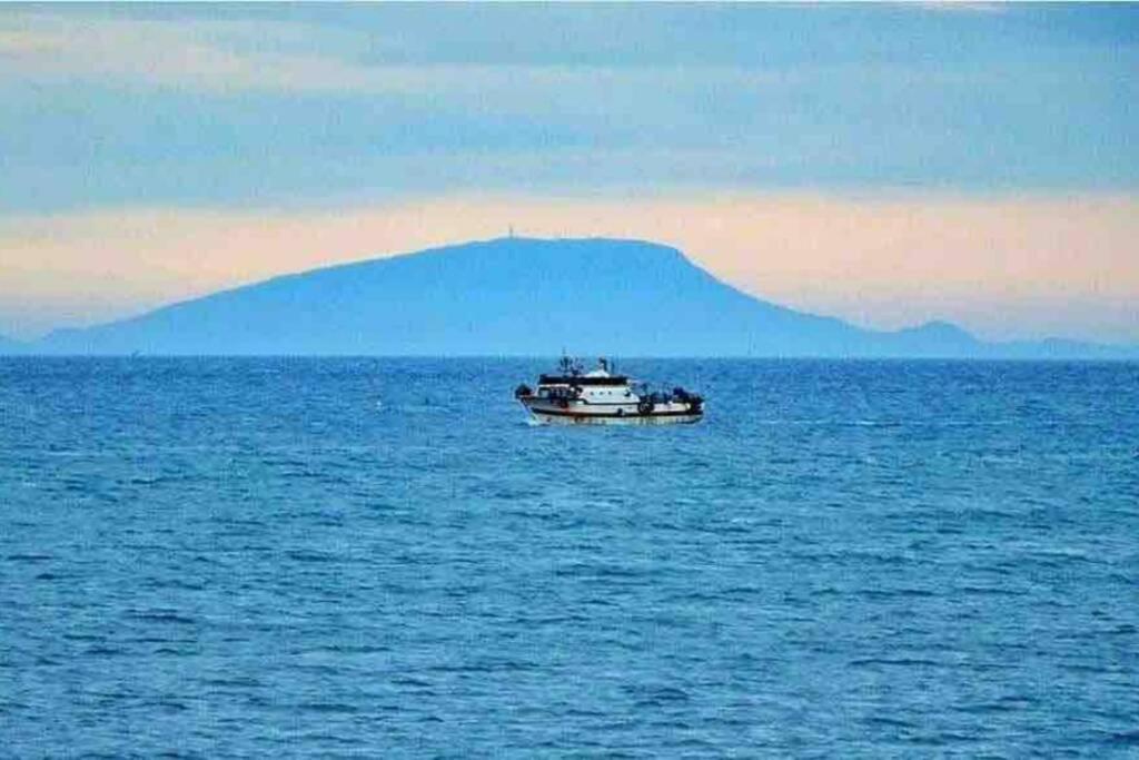 Appartement Ezzouhour Dar Sammoud Kelibia Exteriör bild